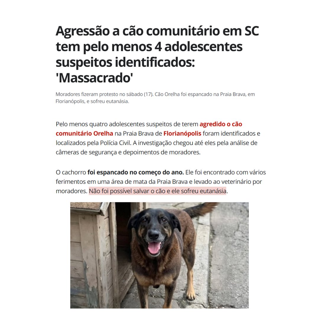 RDTLadyGaga's tweet photo. Todos sabemos o quanto a Gaga ama animais e os considera como parte da família. Por isso, não vamos ignorar o que aconteceu com o cãozinho Orelha, vítima de um ato brutal de violência em Florianópolis.

Nos unimos para dar visibilidade à #JustiçaPorOrelha e contamos com todos os Little Monsters brasileiros para que esse caso não seja esquecido. 🐾🖤