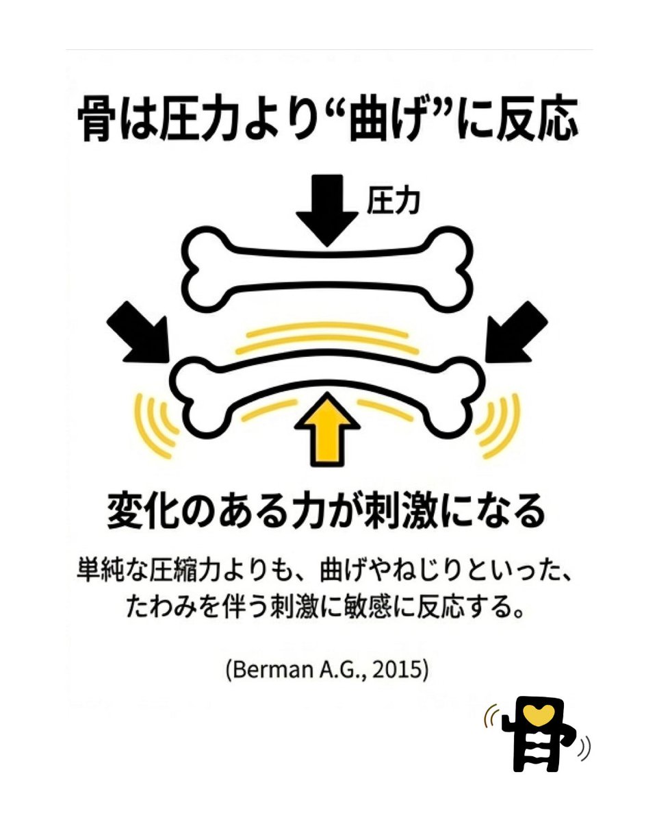 OSTEO_PRIME's tweet photo. 【朝の答え合わせ💡】
正解は「曲げる(しならせる)」でした。
骨は弓のようにしなることで
強度がアップします🏹
しなやかなボディラインを作る
骨格調整はこちら👇
#健康体操 #骨活 #OSTEO #美容 https://t.co/SOZ3QSnkZP