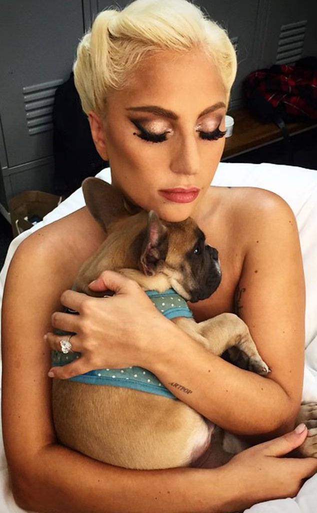 RDTLadyGaga's tweet photo. Todos sabemos o quanto a Gaga ama animais e os considera como parte da família. Por isso, não vamos ignorar o que aconteceu com o cãozinho Orelha, vítima de um ato brutal de violência em Florianópolis.

Nos unimos para dar visibilidade à #JustiçaPorOrelha e contamos com todos os Little Monsters brasileiros para que esse caso não seja esquecido. 🐾🖤