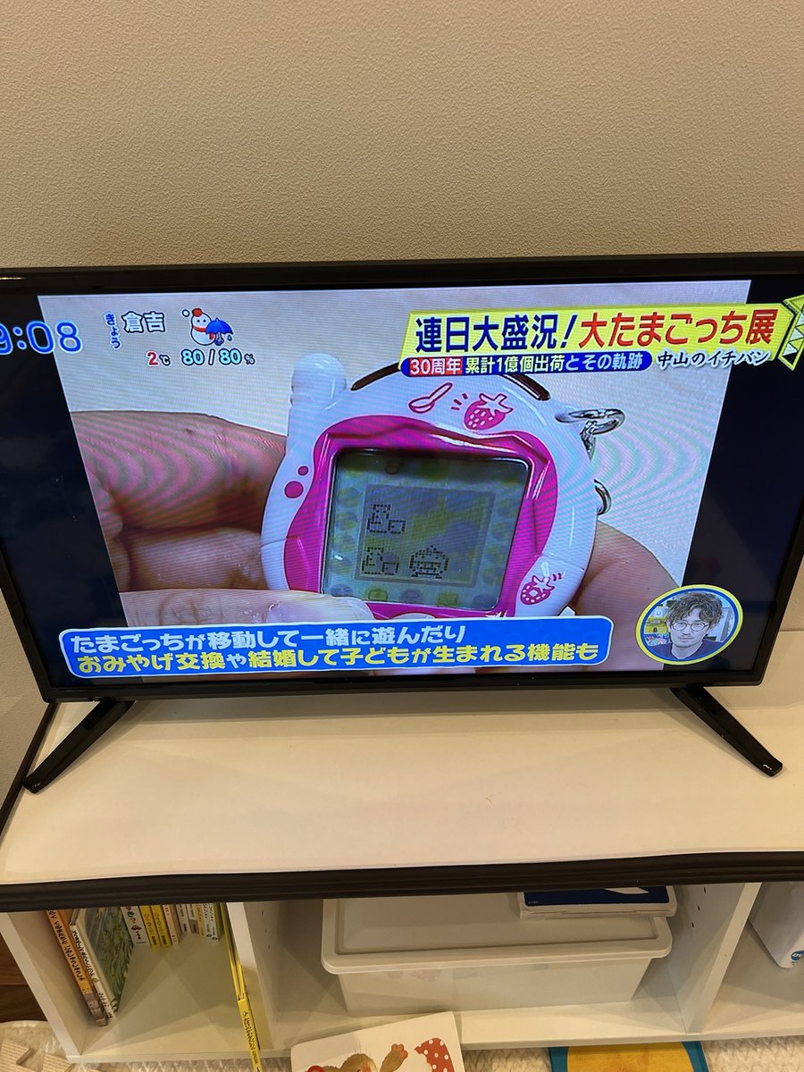 かねブンブン丸 (@kanebunjzx100) / Posts / X