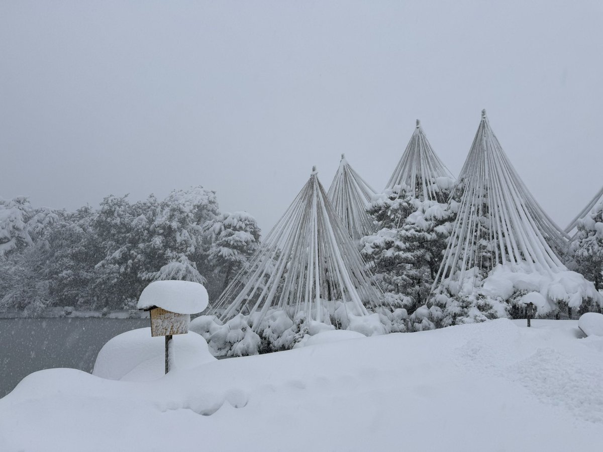 _dra6_'s tweet photo. ドカ雪兼六園、良い https://t.co/BwAhN76nZV