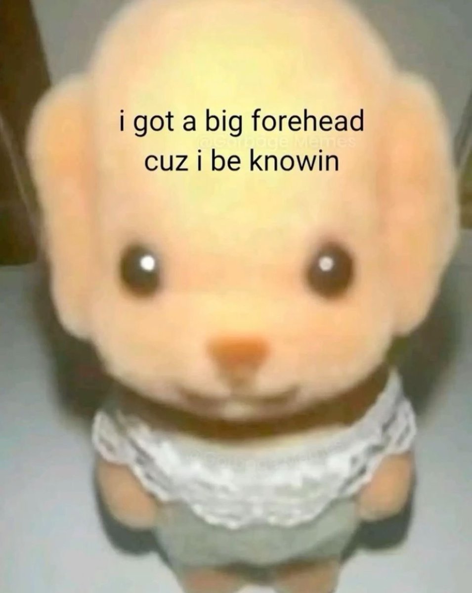 astralbaes's tweet image. 