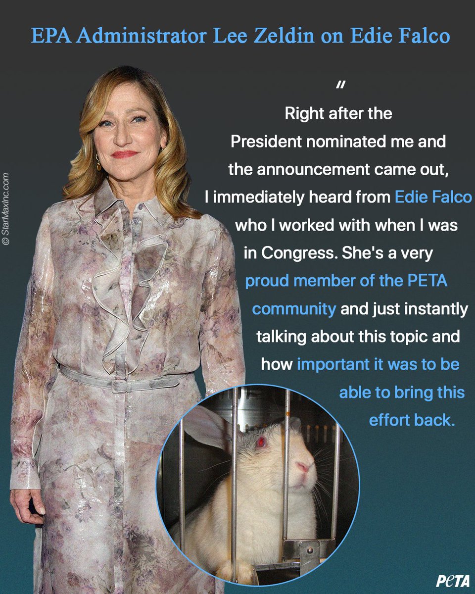 PETA tweet media