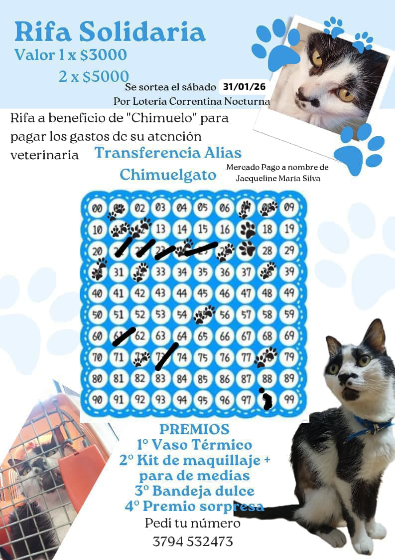 Jac_queline__'s tweet photo. Por favor! Necesito la magia de Twitter 
Tenemos que saldar $106.000 de la vete para que siga su tratamiento 🥹 https://t.co/AKsZPOe5wI