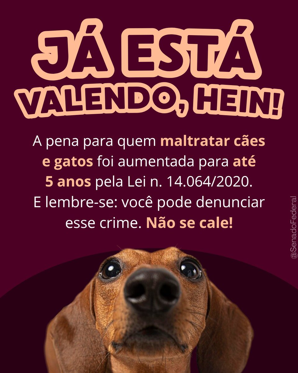 contagemcorona1's tweet photo. NÃO SE CALE
DENUNCIE‼️

#JustiçaPorOrelha https://t.co/RoCKvYBmjR