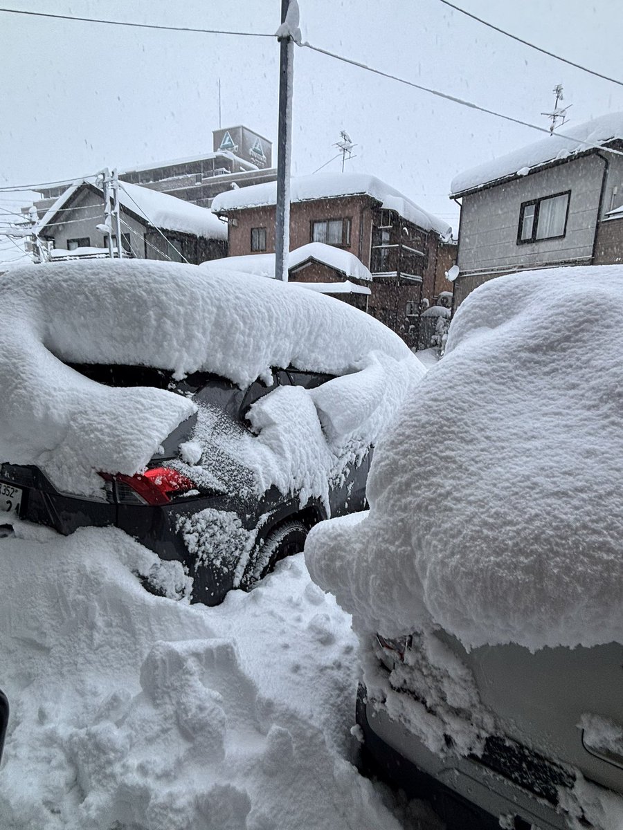 sayupon615's tweet photo. 降ったね〜⛄️
家から出られない💦 https://t.co/TW85noZUFL