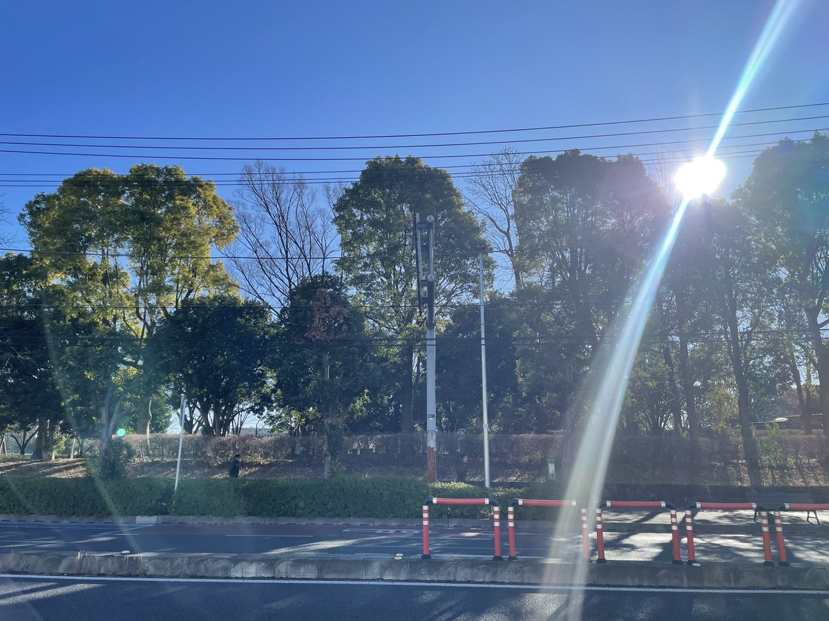 昨日は「ダライ・ラマ自伝」からの「セブン・イヤーズ・イン・チベット」を観て、チベットの歴史と文化に浸った一日。さて、今日は息子とプールに行って、午後は人生初の音楽ライブに参加。朝の凛とした空気が気持ちいい。