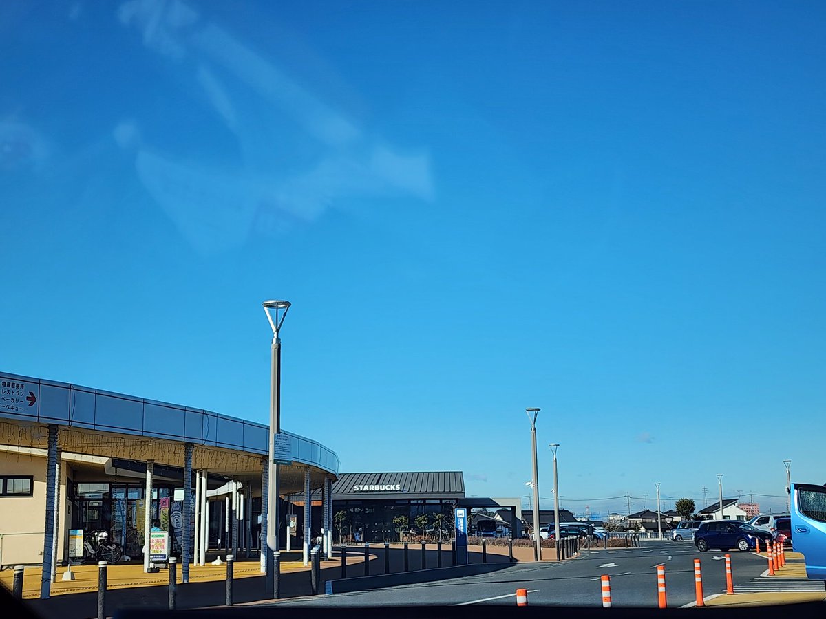 久しぶりのグラテラ