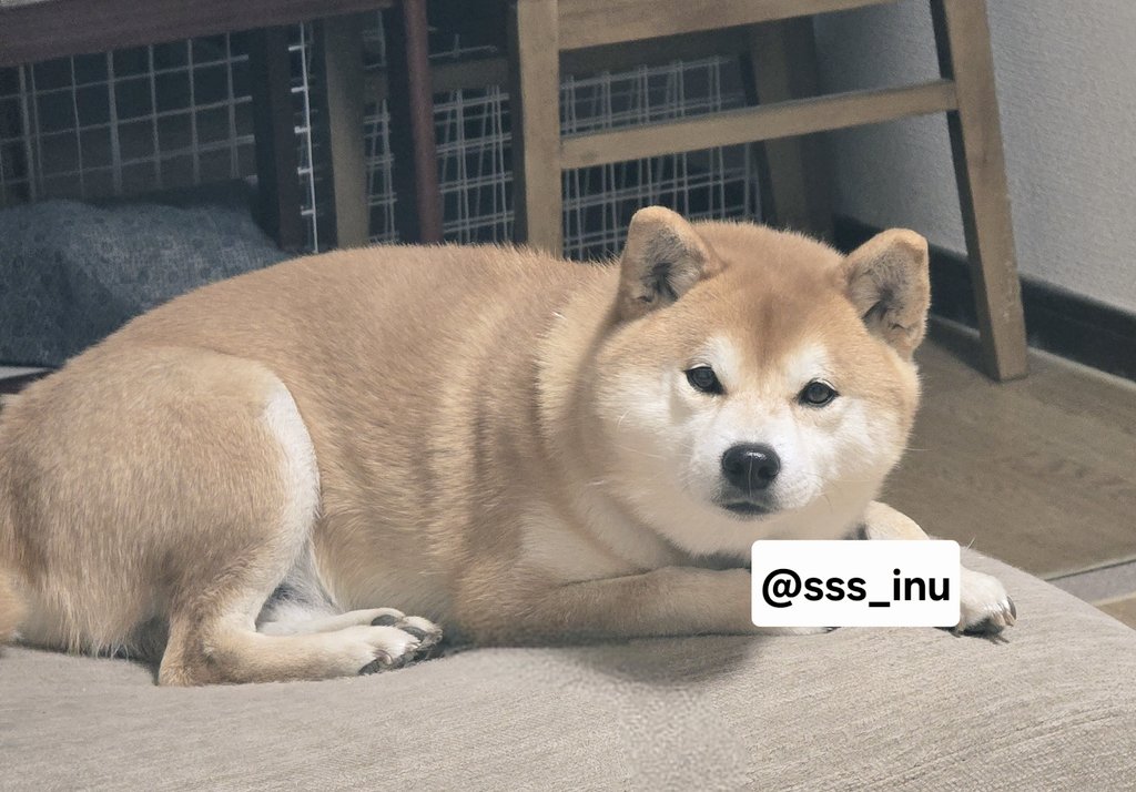 おはよ～～😊😊