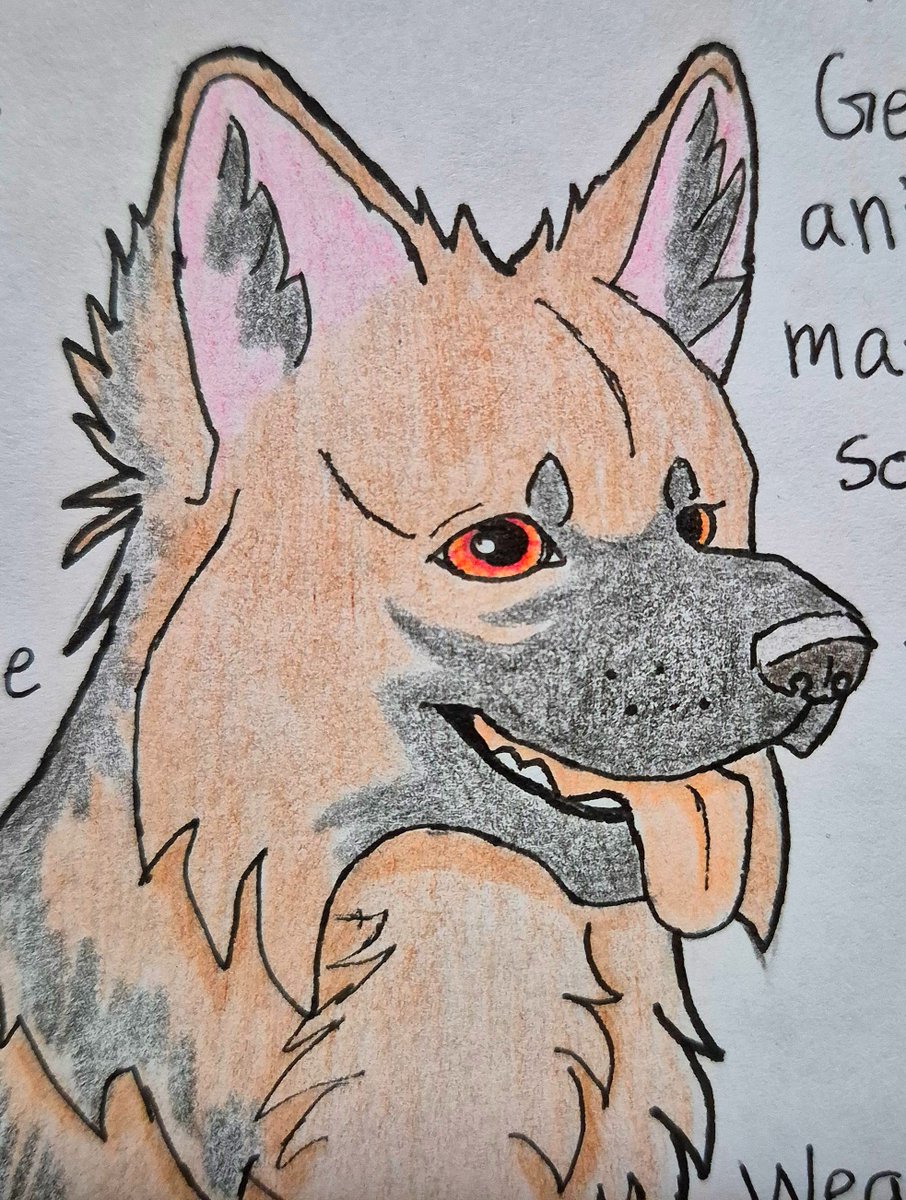 AuthorAlesa's tweet image. Another minor Entity. This is Bellicose, minor Entity of soldiers, last rites, and canine tasks and he's one of the goodest boys.

#fantasy #fantasyart #bookcharacter #dogs
