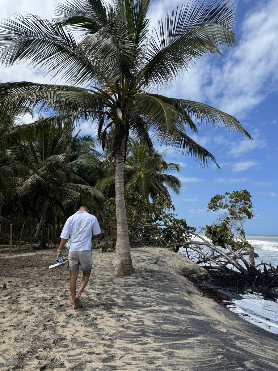 Jesusmarincz's tweet photo. 🏝️ https://t.co/IBJkeFeCgo