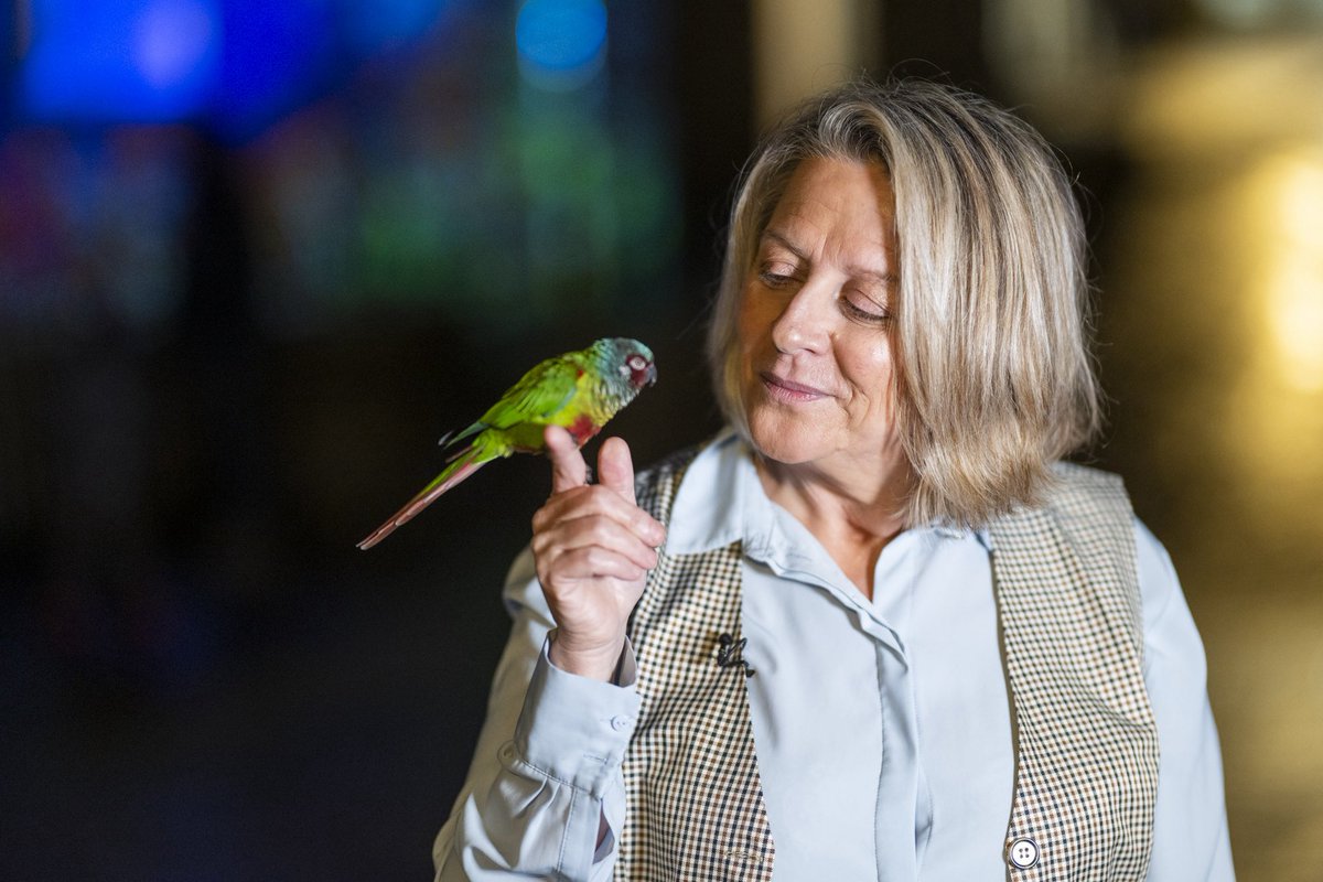 Alain Thomas tweet media