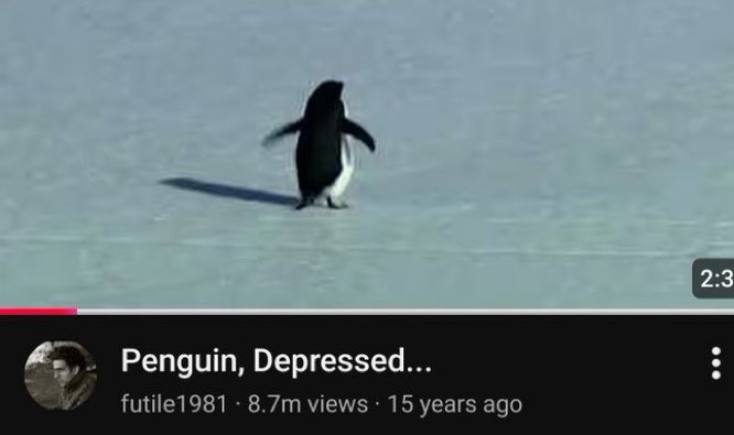 We have had our CTO approved and are now recieving fees!

We just used the fees earnt so far to buy the chart , and will use 100% of them to benefit the CTO!

TXN: solscan.io/tx/4dQ3RRzxgb4…