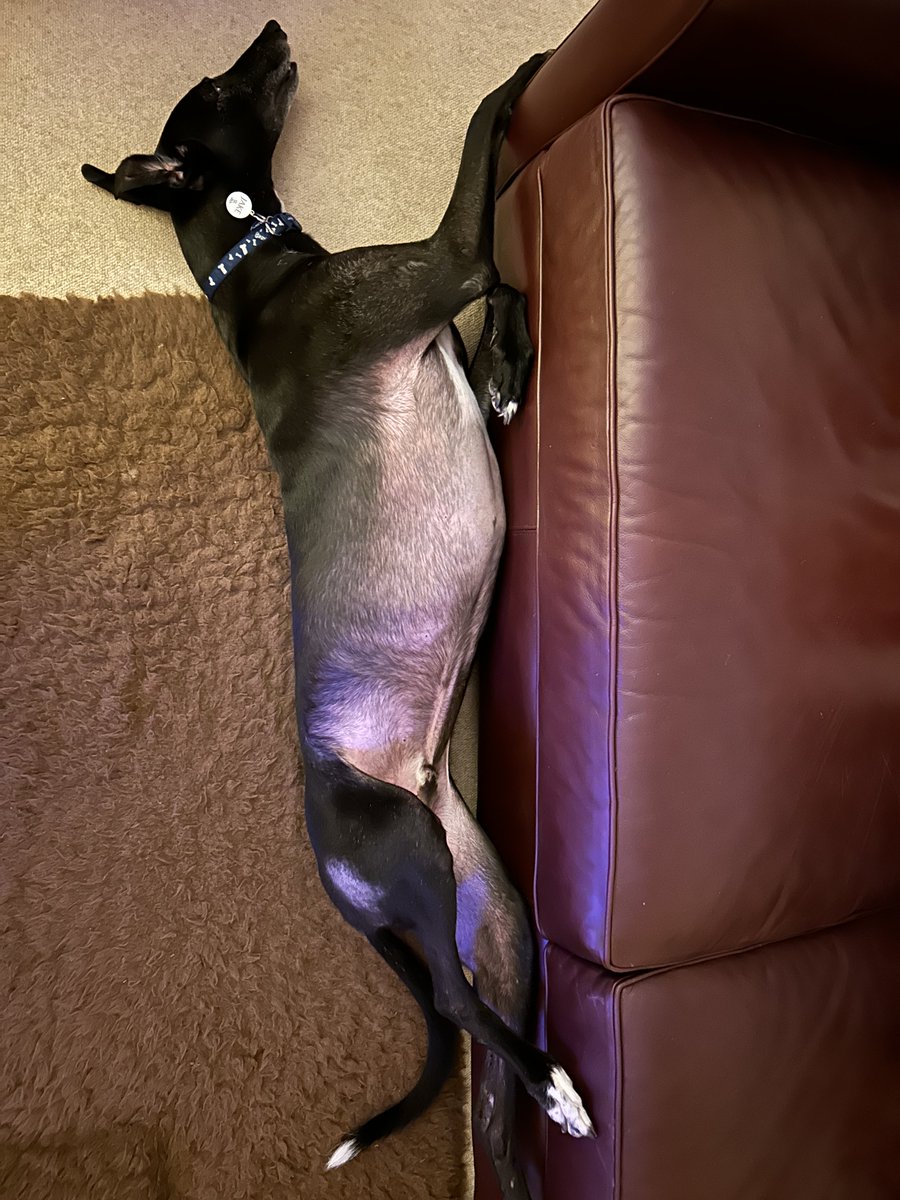 That’s just odd Jake 🤔