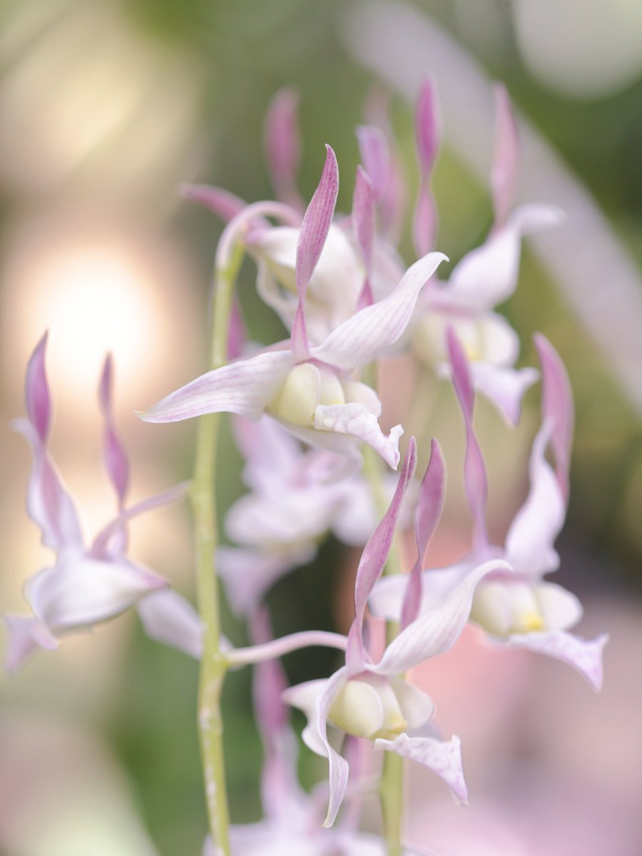 いろんな方向を見てワクワクを探してみよう。月曜日も楽しくなるよ