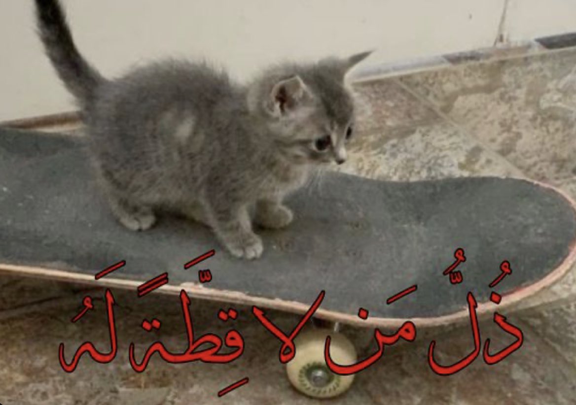 سيسي عبدو (@queensisi24) on Twitter photo 