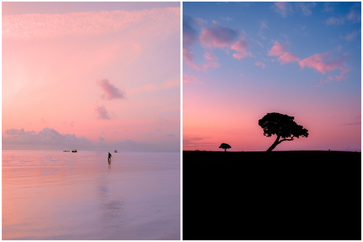 Alex Kittoe tweet media