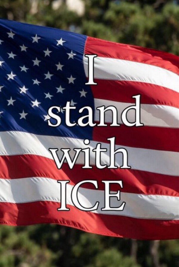 🇺🇸Silly Girl 🇺🇸 tweet media