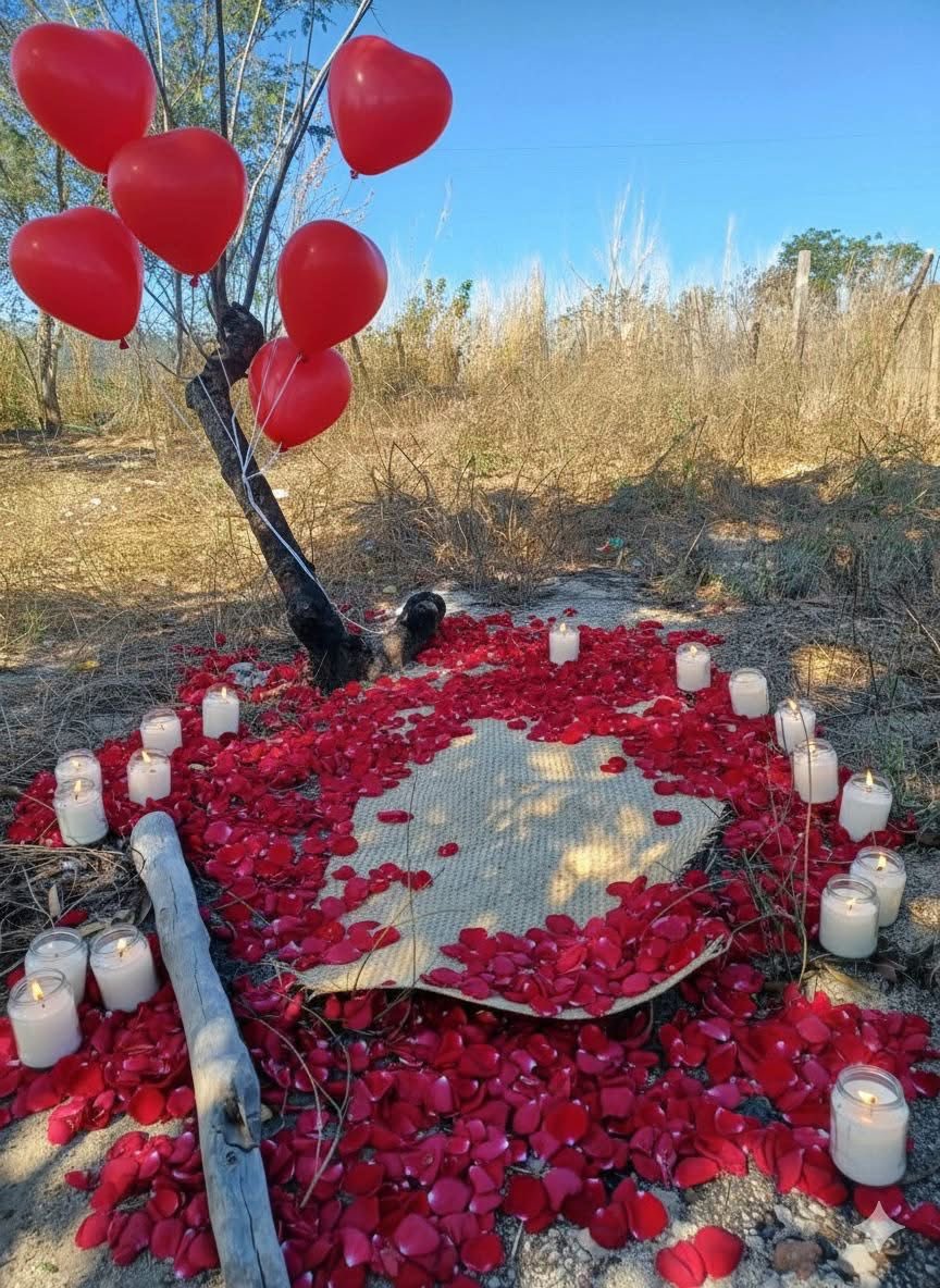 Así camino verde el 14 de febrero