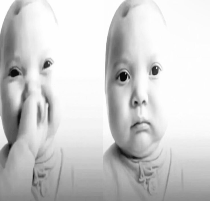 gordo pou tweet media