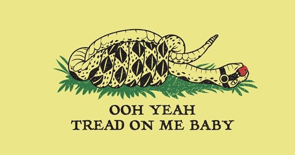 DaRavingMonkey's tweet image. Crazy how so much people are all of a sudden against the 2nd amendment. Those same people also opposed government interference and surveillance. Now they are all for the government doing what ever it wants to them. Rules for you but not for me is their motto now.