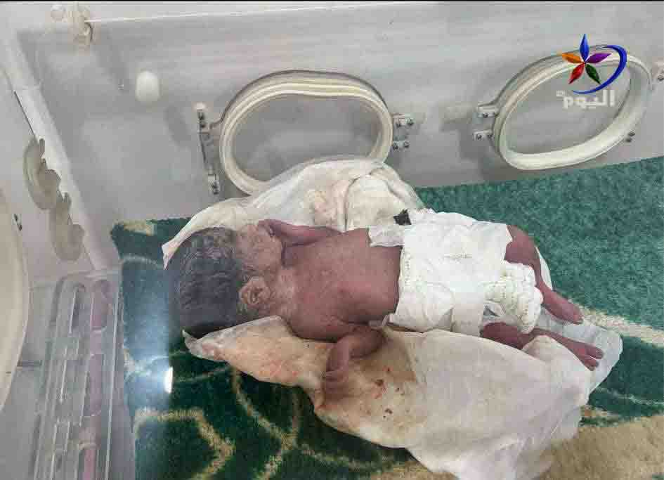 قناة اليوم tweet media