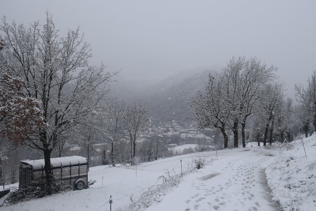 regortc's tweet photo. La nevada a Ribes de Freser i Bruguera ❄️
Imatges d’avui.
#nevada #RibesdeFreser #Bruguera #Ripollès #Pirineus #hivern @P4Estacions @meteocat @meteopiri @eloicordomi @meteo_garraf @btveltemps @AjRibesdeFreser @TomasMolinaB @SeguimlaMeteo @3CatInfoelTemps @Vakapiupiu https://t.co/rW5peZkyen