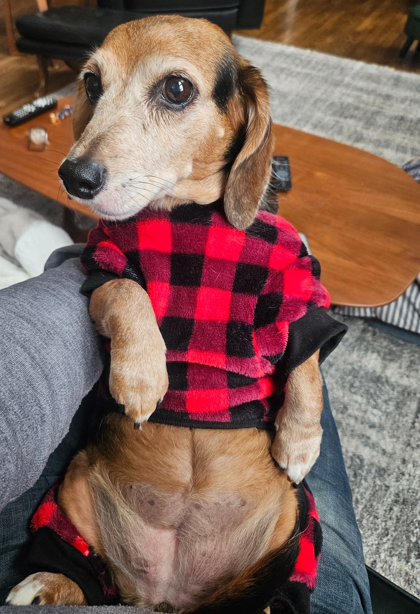 Daiko | Space Anomaly VTuber tweet media