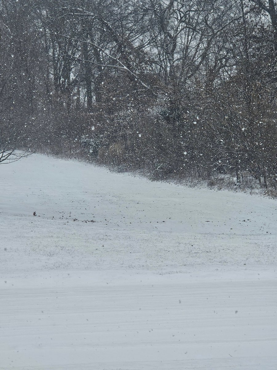 Daiko | Space Anomaly VTuber tweet media