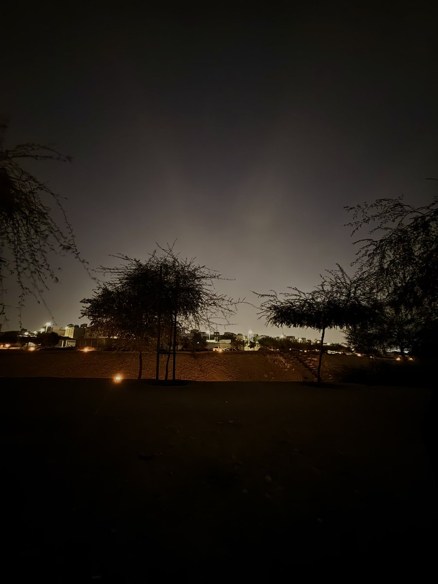 دانـه tweet media