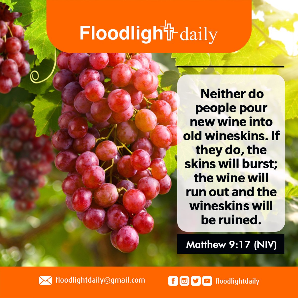 DailyFloodlight's tweet photo. The euphoria that surrounds the start of the year, will soon fade into disappointment unless we change old habits and principles that did not yield positive results last year. We can't do things the same old way and expect different outcomes
@Marmah_Ish
@AfroBloggers https://t.co/GDxehMvsIl
