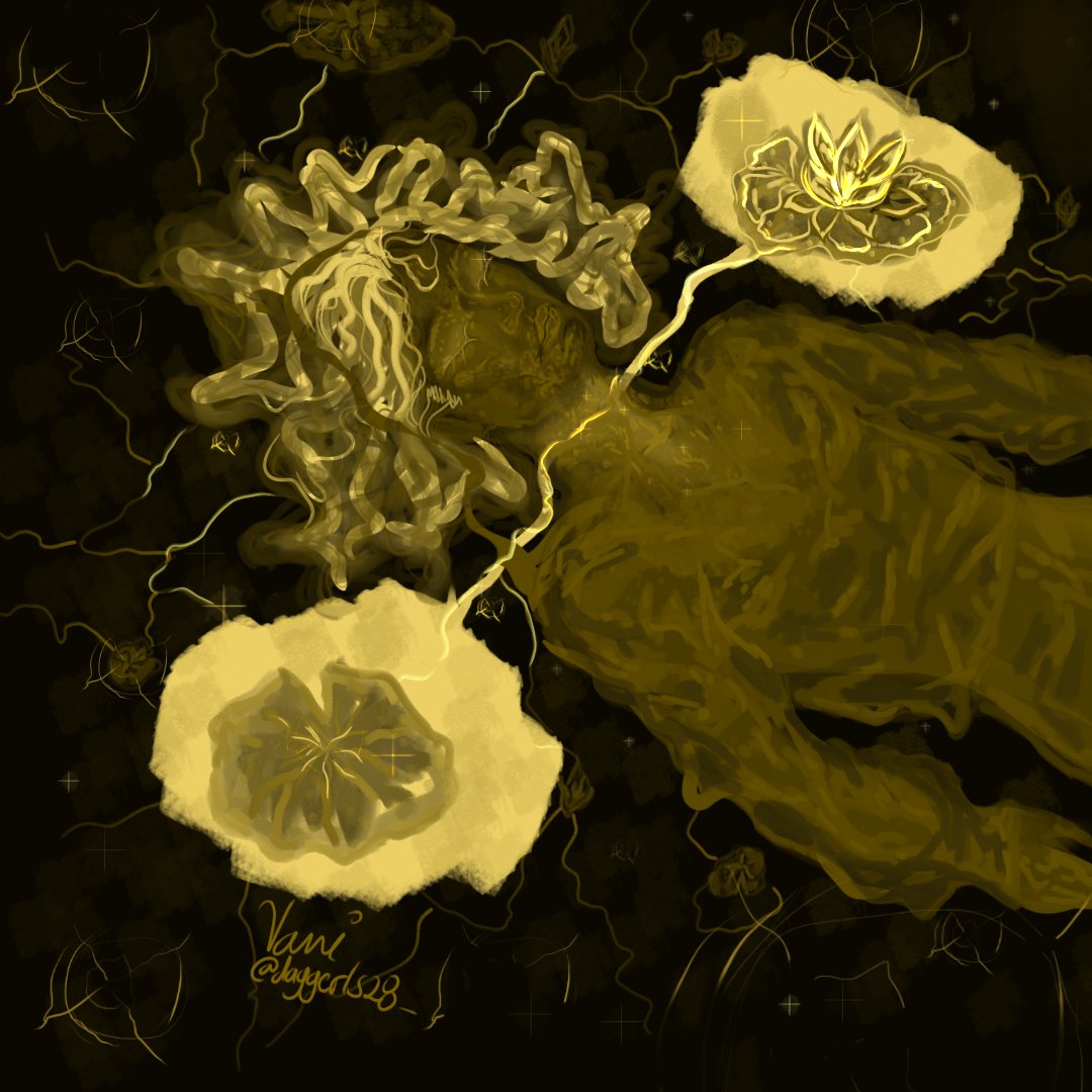 Vani 🦇 tweet media