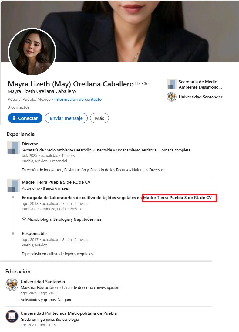 HeidiCabrera17's tweet photo. Ustedes que harían con 305.1 millones de pesos? 🤔 Ese es el presupuesto asignado en el Proyecto de Presupuesto de Egresos del Estado de Puebla 2026 para la Secretaría de Medio Ambiente, Desarrollo Sustentable y Ordenamiento Territorial (SMADSOT) de #Puebla 

Por eso deberían exigir perfiles más preparados y es que no suena tan descabellado querer saber dónde van a quedar 305 millones de pesos del pueblo. 
Y como es que se van a invertir. 

Un puesto no tan relevante pero con muchos ceros.
