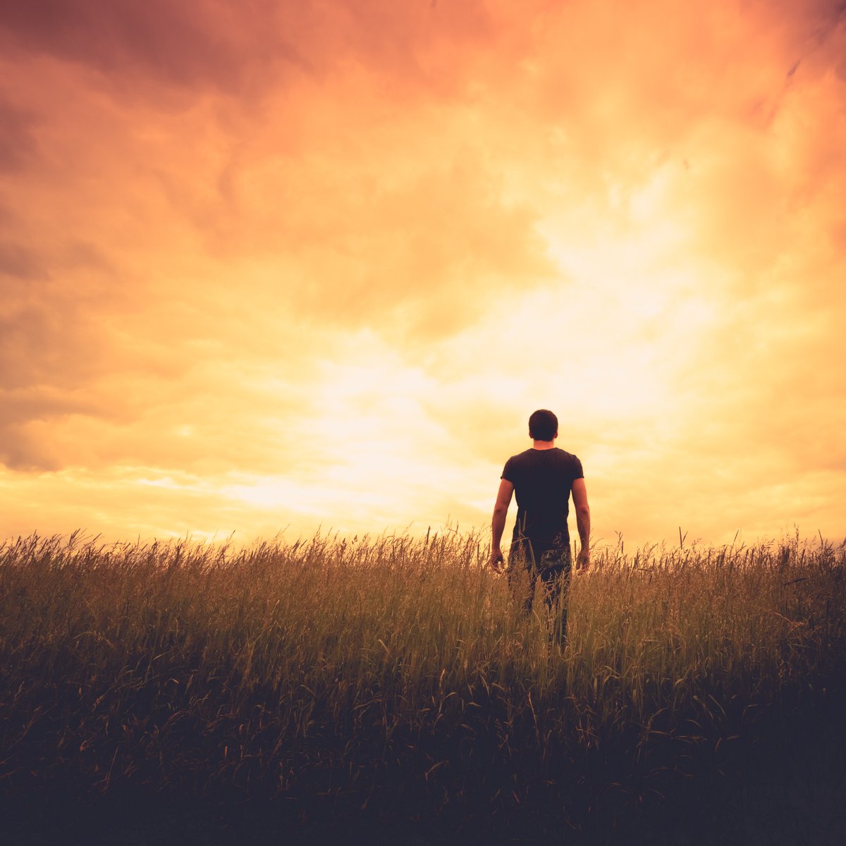 Dieter F. Uchtdorf tweet media