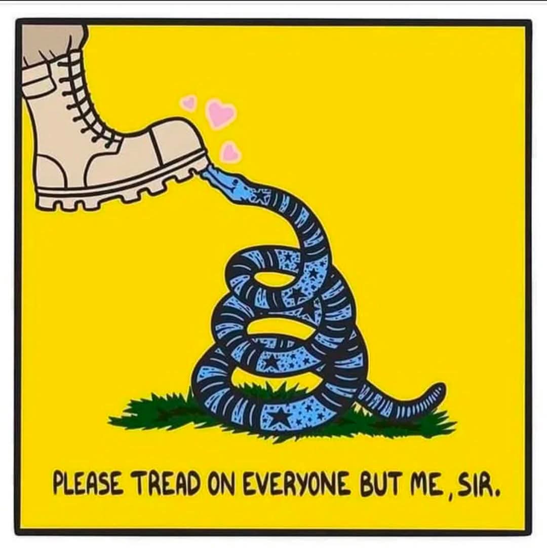 ChaseForLiberty's tweet image. New rule: If your knee-jerk reaction to today's events is "he shouldn't have had a gun," you don't get to fly the Gadsden flag ever again.