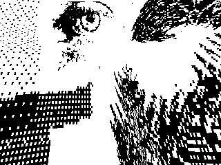 Accelerated Wind (@typistproto) on Twitter photo 