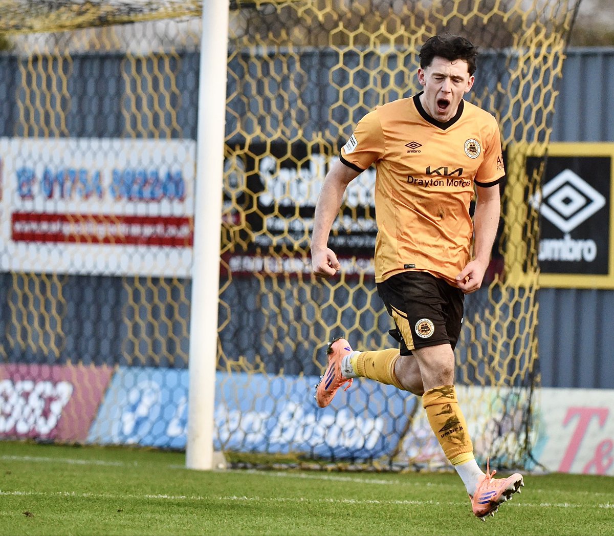 Tim Hoff tweet media