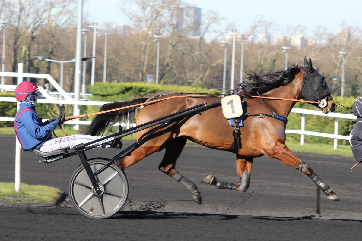 mondor44 tweet media