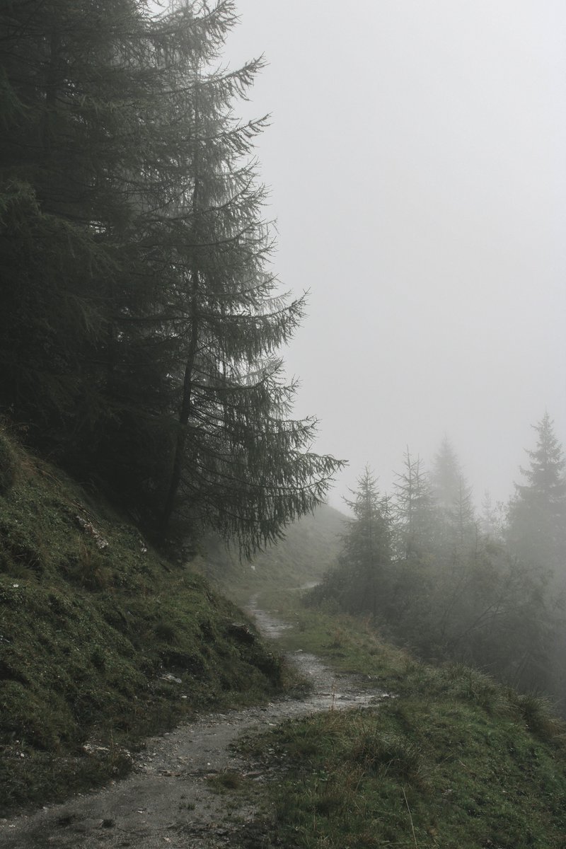 earthcurated's tweet photo. Let’s go for a walk… https://t.co/YIjIhik3m5