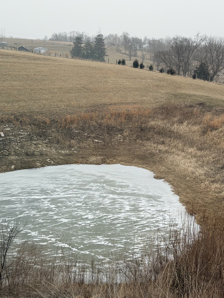 StrikeBelow's tweet image. Snow flurries started in Nicholas County, Ky

#kywx