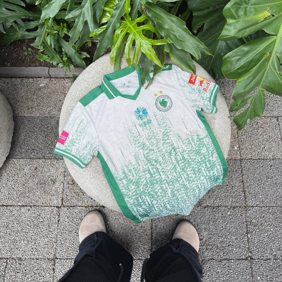 Pure 📈 tweet media