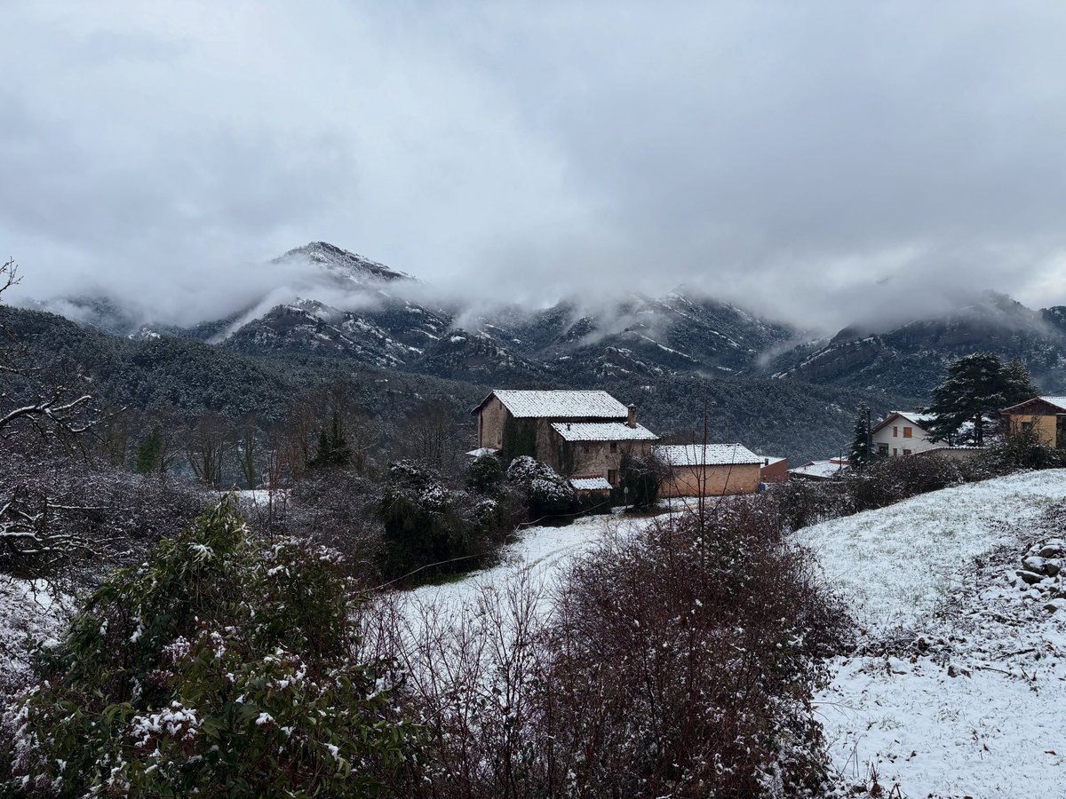 Ajuntament de Vilada tweet media