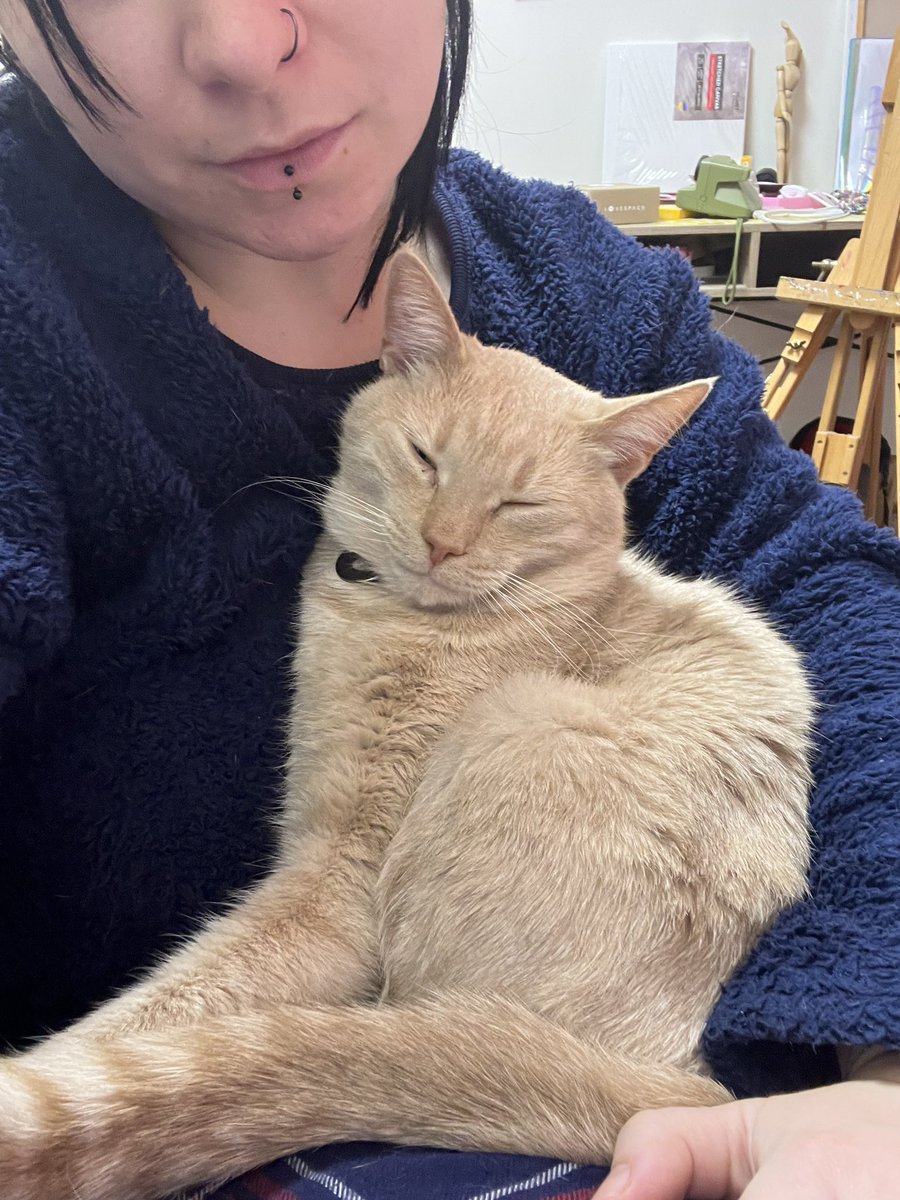 закиньте 15 грн перед сном😌