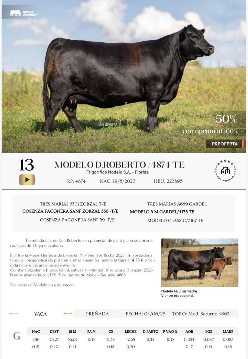 AngusDelModelo's tweet image. 𝐐𝐮𝐢𝐞𝐫𝐞 𝐬𝐞𝐫 𝐧𝐮𝐞𝐬𝐭𝐫𝐨 𝐬𝐨𝐜𝐢𝐨❓ 

Con Modelo D Roberto / 4874 TE puede serlo. Sale a la venta el 50% (con opción del 100%) en la próxima Gala Angus, el viernes 6 de febrero. 

En los próximos días más información, catálogo y detalles.