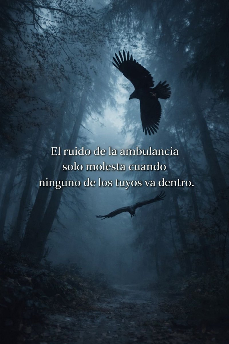 SOY RESISTENCIA INTELECTUAL..🤺💯🤺 tweet media