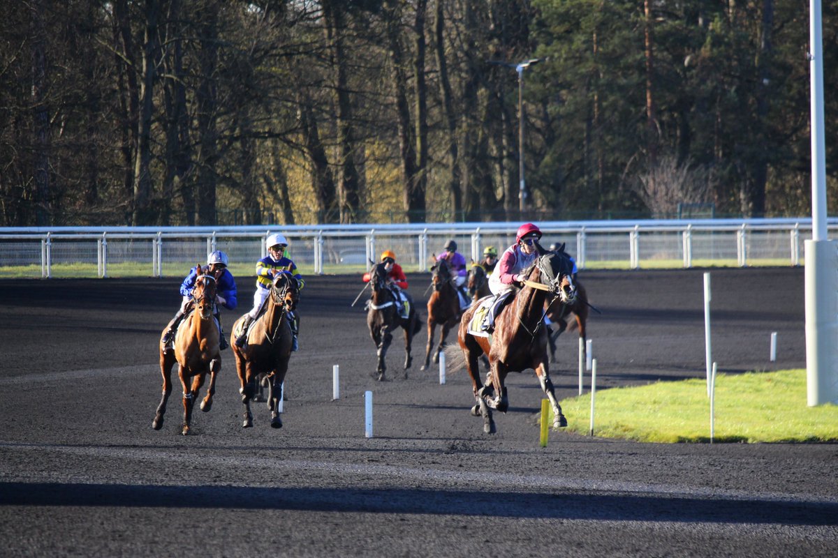 mondor44 tweet media