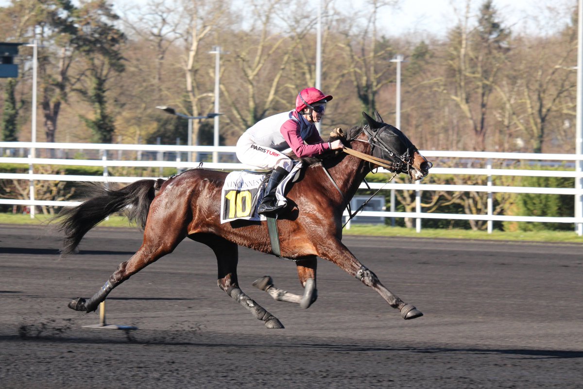 mondor44 tweet media