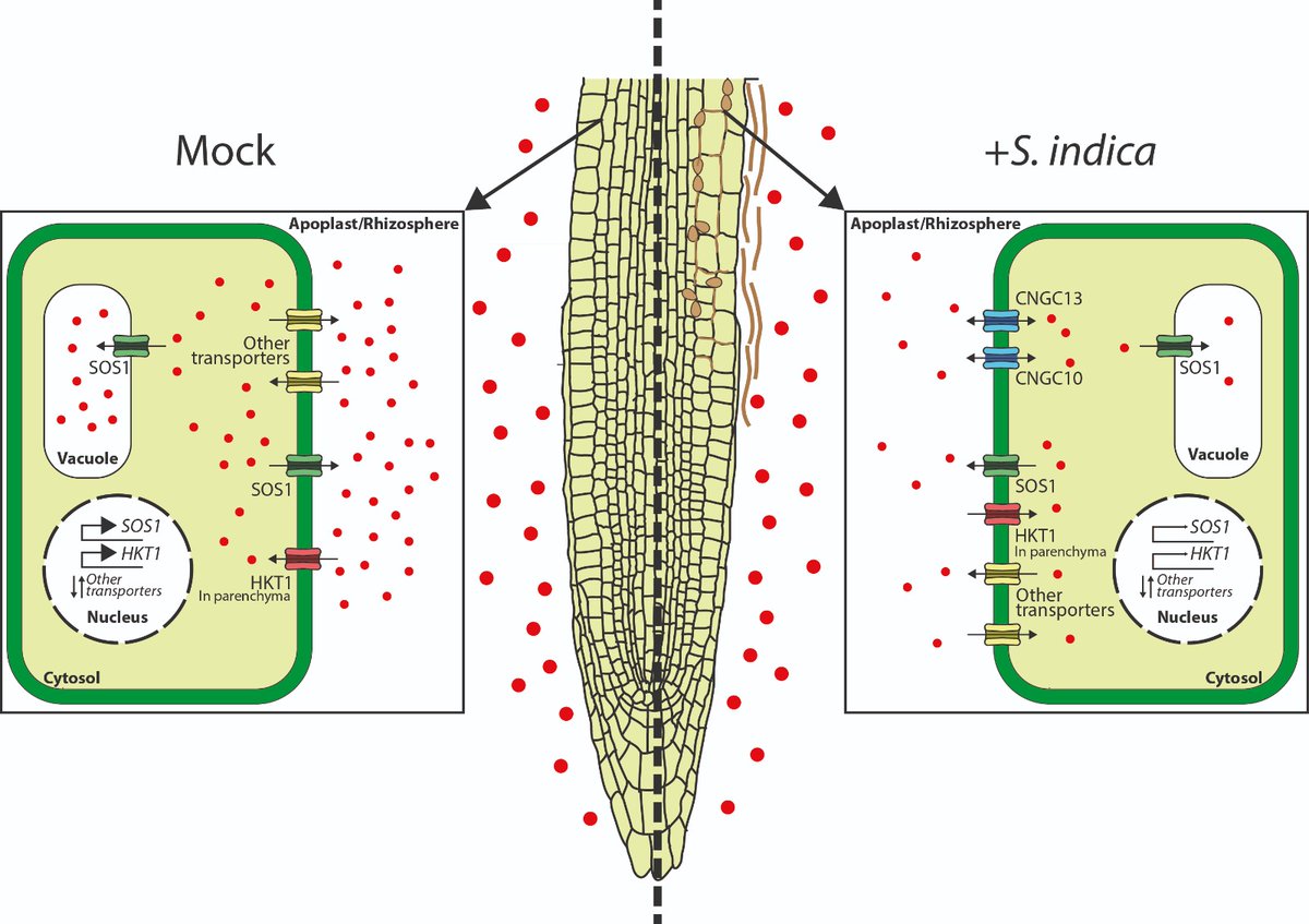 Adrian Gonzalez tweet media