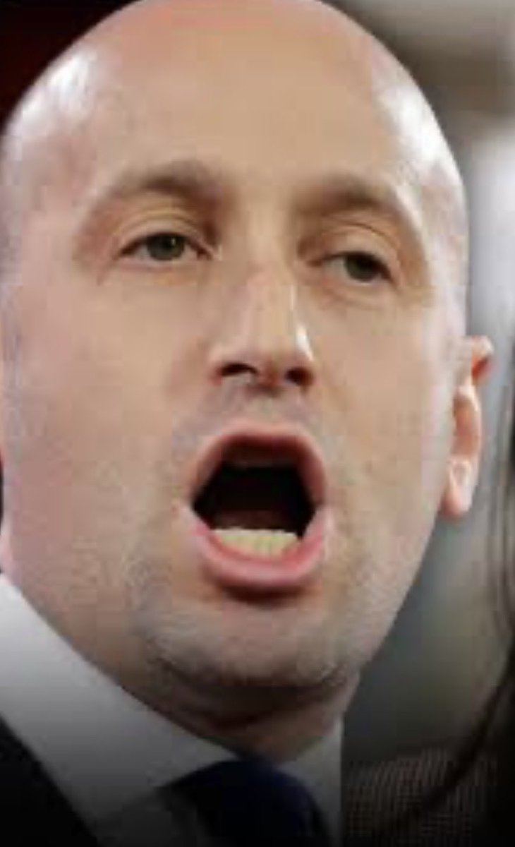 BrittanyinTexas's tweet image. STEPHEN MILLER IS A DOMESTIC TERRORIST…