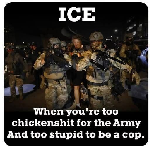 MinekoKia's tweet image. NazICE ⬇️